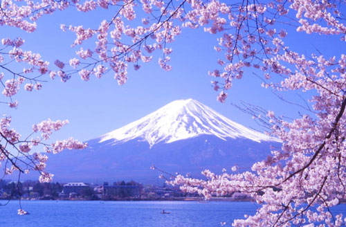 日本六日游
