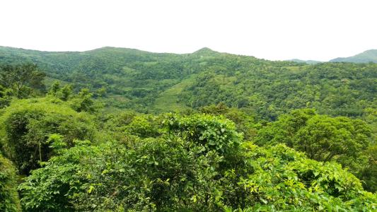 【湖北京山】 美人谷、绿林寨踏青二日游<美人谷、绿林寨踏青二日游>