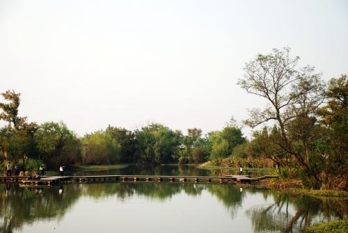 西栅+西塘+西溪湿地+西湖双动三日游<情迷四西>
