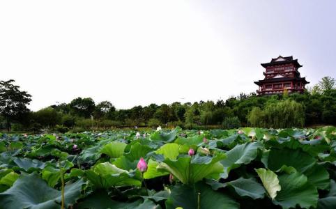 三里畈赏沙雕、泡温泉汽车二日游<黄冈专线>
